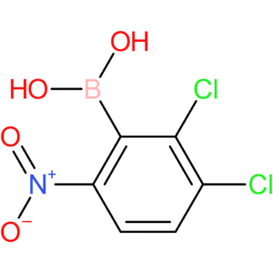 (2,3-dichloro-6-nitrophenyl)boronic acid