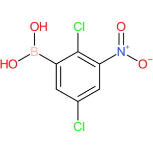 (2,5-dichloro-3-nitrophenyl)boronic acid