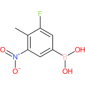 (3-fluoro-4-methyl-5-nitrophenyl)boronic acid