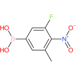 (3-fluoro-5-methyl-4-nitrophenyl)boronic acid