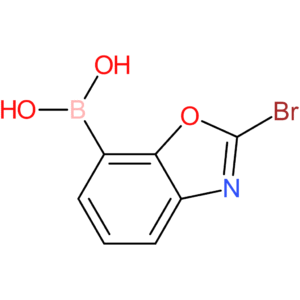 (2-bromo-1,3-benzoxazol-7-yl)boronic acid