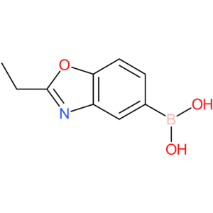 (2-ethyl-1,3-benzoxazol-5-yl)boronic acid