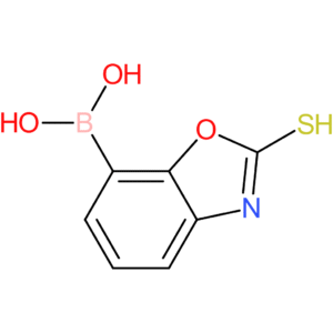 (2-sulfanyl-1,3-benzoxazol-7-yl)boronic acid