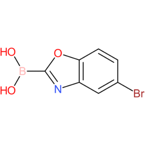 (5-bromo-1,3-benzoxazol-2-yl)boronic acid