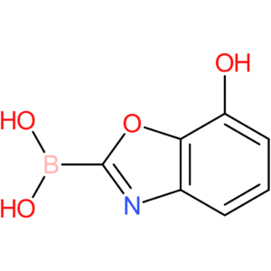 (7-hydroxy-1,3-benzoxazol-2-yl)boronic acid