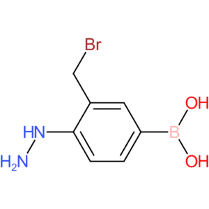 [3-(bromomethyl)-4-hydrazinylphenyl]boronic acid