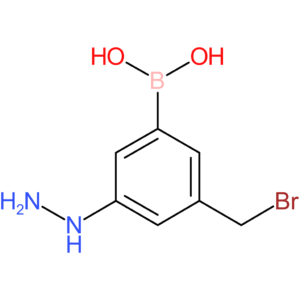 [3-(bromomethyl)-5-hydrazinylphenyl]boronic acid