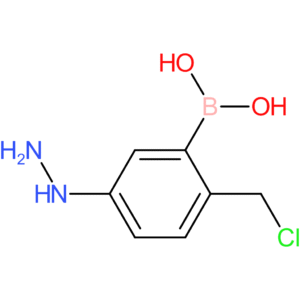 [2-(chloromethyl)-5-hydrazinylphenyl]boronic acid