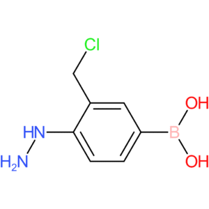 [3-(chloromethyl)-4-hydrazinylphenyl]boronic acid