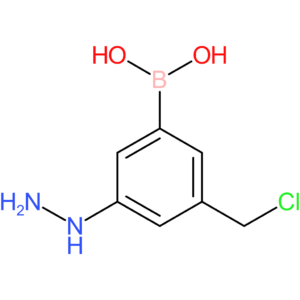 [3-(chloromethyl)-5-hydrazinylphenyl]boronic acid