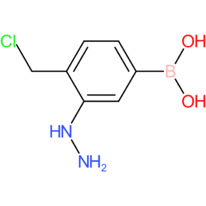 [4-(chloromethyl)-3-hydrazinylphenyl]boronic acid