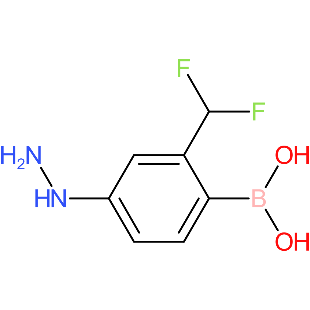 [2-(difluoromethyl)-4-hydrazinylphenyl]boronic acid