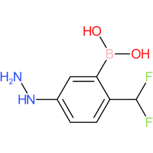 [2-(difluoromethyl)-5-hydrazinylphenyl]boronic acid