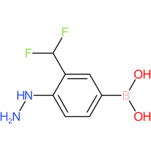[3-(difluoromethyl)-4-hydrazinylphenyl]boronic acid