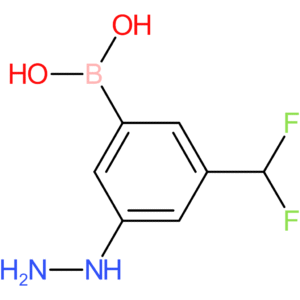 [3-(difluoromethyl)-5-hydrazinylphenyl]boronic acid