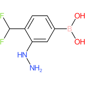[4-(difluoromethyl)-3-hydrazinylphenyl]boronic acid