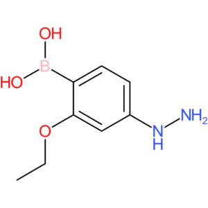 (2-ethoxy-4-hydrazinylphenyl)boronic acid