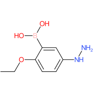 (2-ethoxy-5-hydrazinylphenyl)boronic acid