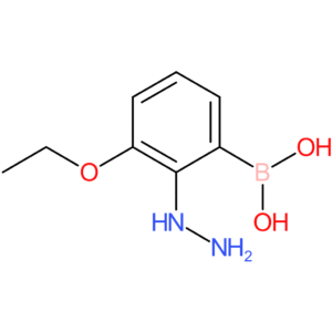 (3-ethoxy-2-hydrazinylphenyl)boronic acid