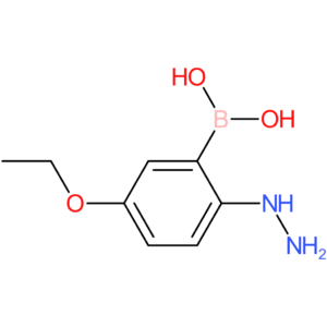 (5-ethoxy-2-hydrazinylphenyl)boronic acid