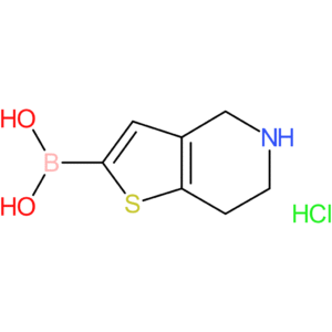 4,5,6,7-tetrahydrothieno[3,2-c]pyridin-2-ylboronic acid hydrochloride