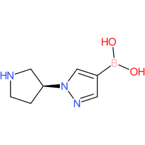 (1-[(3s)-pyrrolidin-3-yl]-1h-pyrazol-4-yl)boronic acid