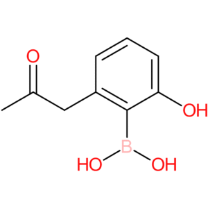 [2-hydroxy-6-(2-oxopropyl)phenyl]boronic acid