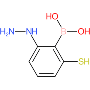 (2-hydrazinyl-6-sulfanylphenyl)boronic acid