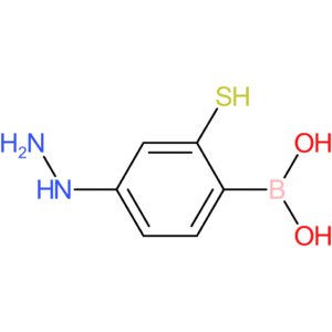 (4-hydrazinyl-2-sulfanylphenyl)boronic acid