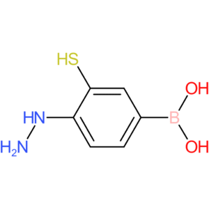 (4-hydrazinyl-3-sulfanylphenyl)boronic acid