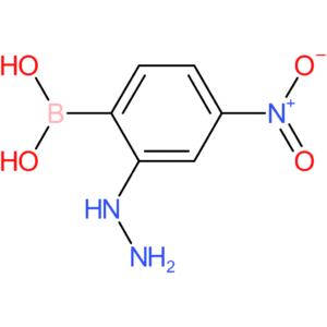 (2-hydrazinyl-4-nitrophenyl)boronic acid