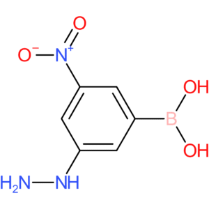 (3-hydrazinyl-5-nitrophenyl)boronic acid