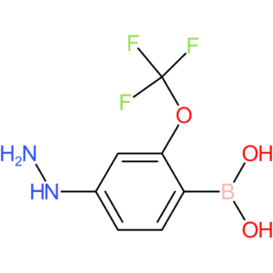 hE-chemical 0509594