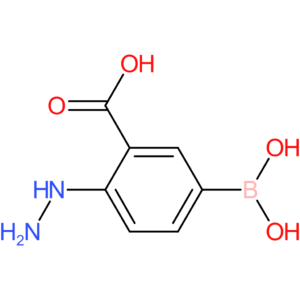 5-(dihydroxyboranyl)-2-hydrazinylbenzoic acid