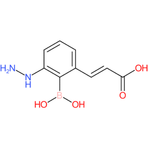 (E)-3-(2-borono-3-hydrazineylphenyl)acrylic acid