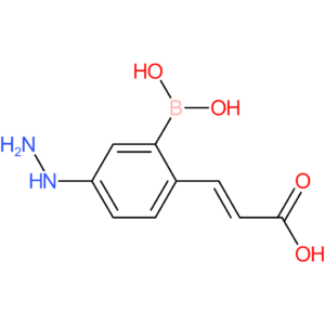 (E)-3-(2-borono-4-hydrazineylphenyl)acrylic acid
