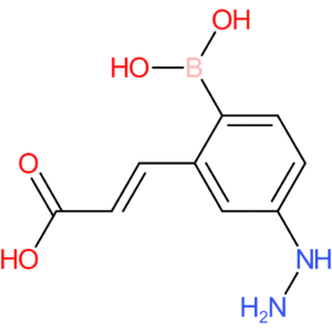 (E)-3-(2-borono-5-hydrazineylphenyl)acrylic acid