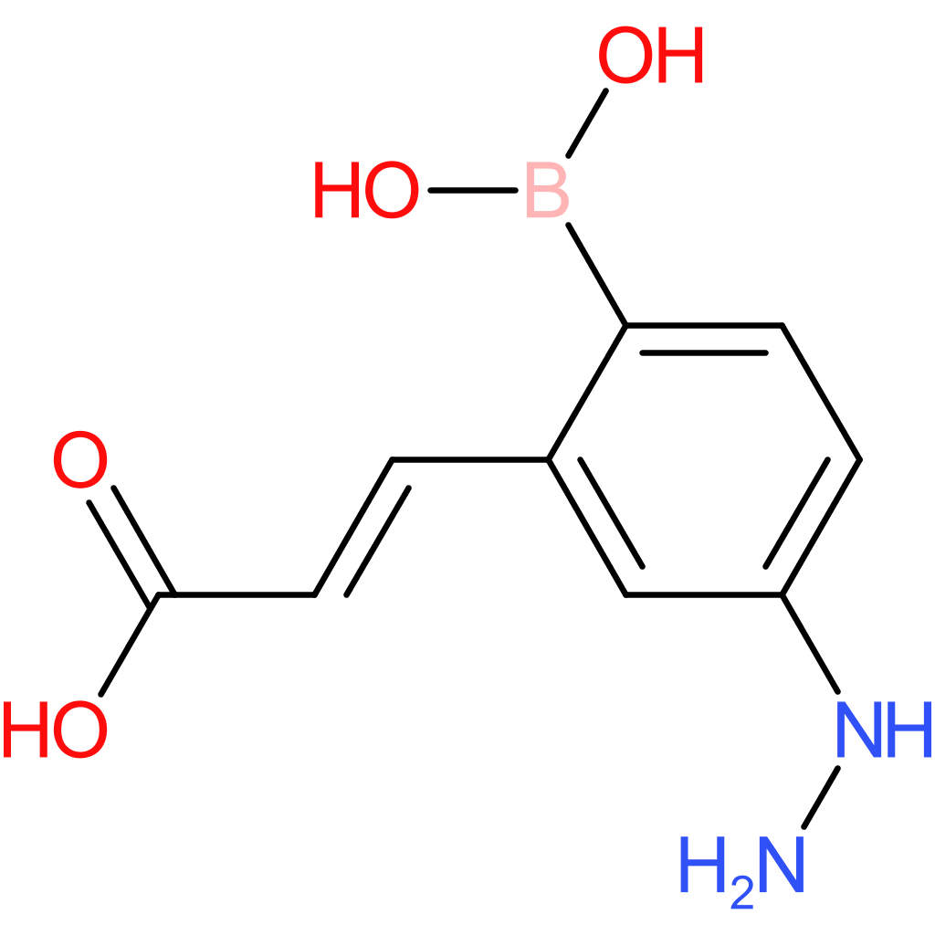 (E)-3-(2-borono-5-hydrazineylphenyl)acrylic acid