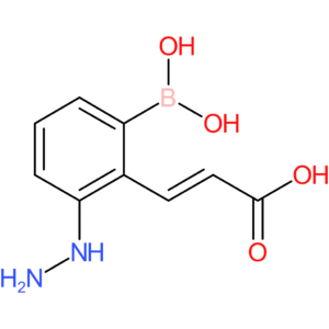 (E)-3-(2-borono-6-hydrazineylphenyl)acrylic acid