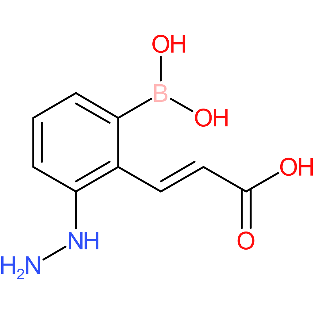 (E)-3-(2-borono-6-hydrazineylphenyl)acrylic acid
