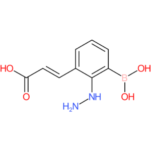(E)-3-(3-borono-2-hydrazineylphenyl)acrylic acid