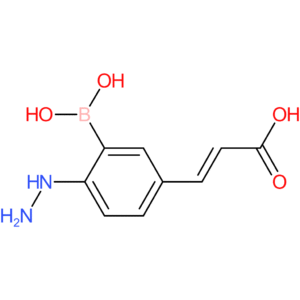 (E)-3-(3-borono-4-hydrazineylphenyl)acrylic acid