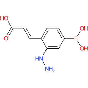 (E)-3-(4-borono-2-hydrazineylphenyl)acrylic acid
