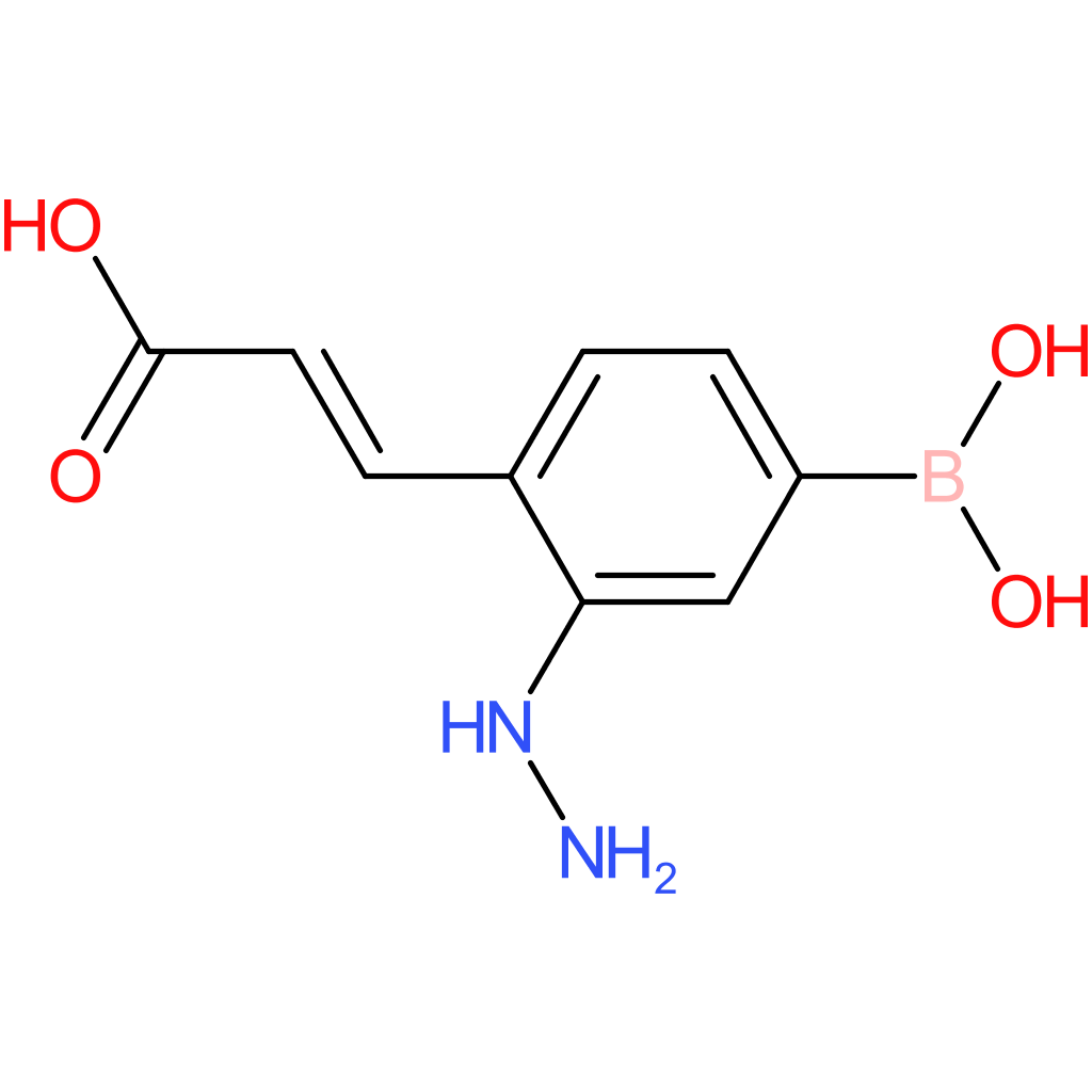 (E)-3-(4-borono-2-hydrazineylphenyl)acrylic acid