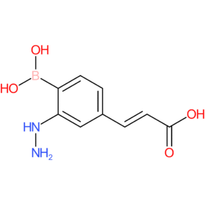(E)-3-(4-borono-3-hydrazineylphenyl)acrylic acid
