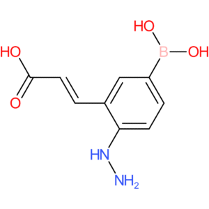 (E)-3-(5-borono-2-hydrazineylphenyl)acrylic acid