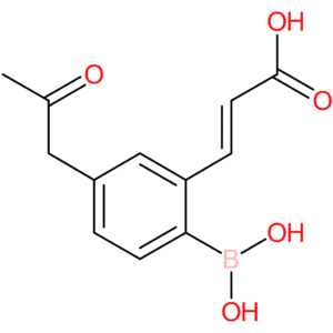(E)-3-(2-borono-5-(2-oxopropyl)phenyl)acrylic acid