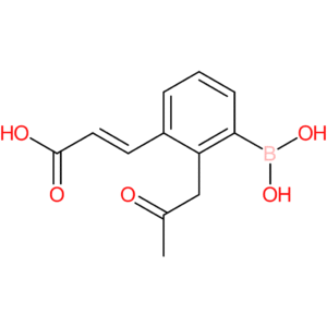 (E)-3-(3-borono-2-(2-oxopropyl)phenyl)acrylic acid
