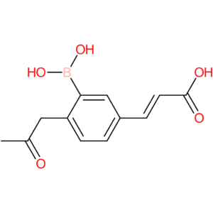 (E)-3-(3-borono-4-(2-oxopropyl)phenyl)acrylic acid
