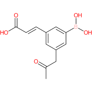 (E)-3-(3-borono-5-(2-oxopropyl)phenyl)acrylic acid